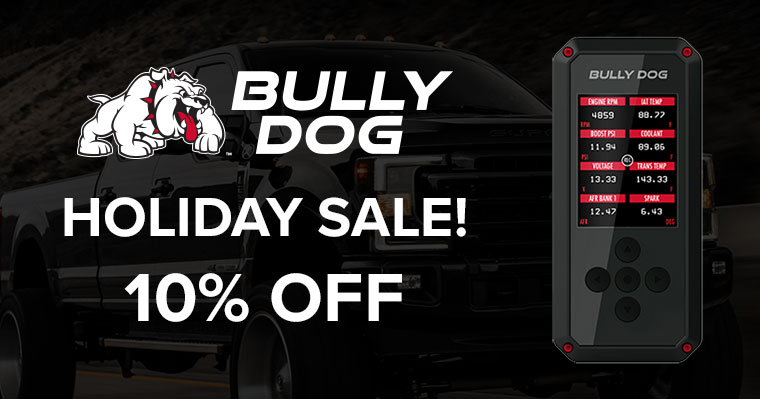 Bully Dog - Sale